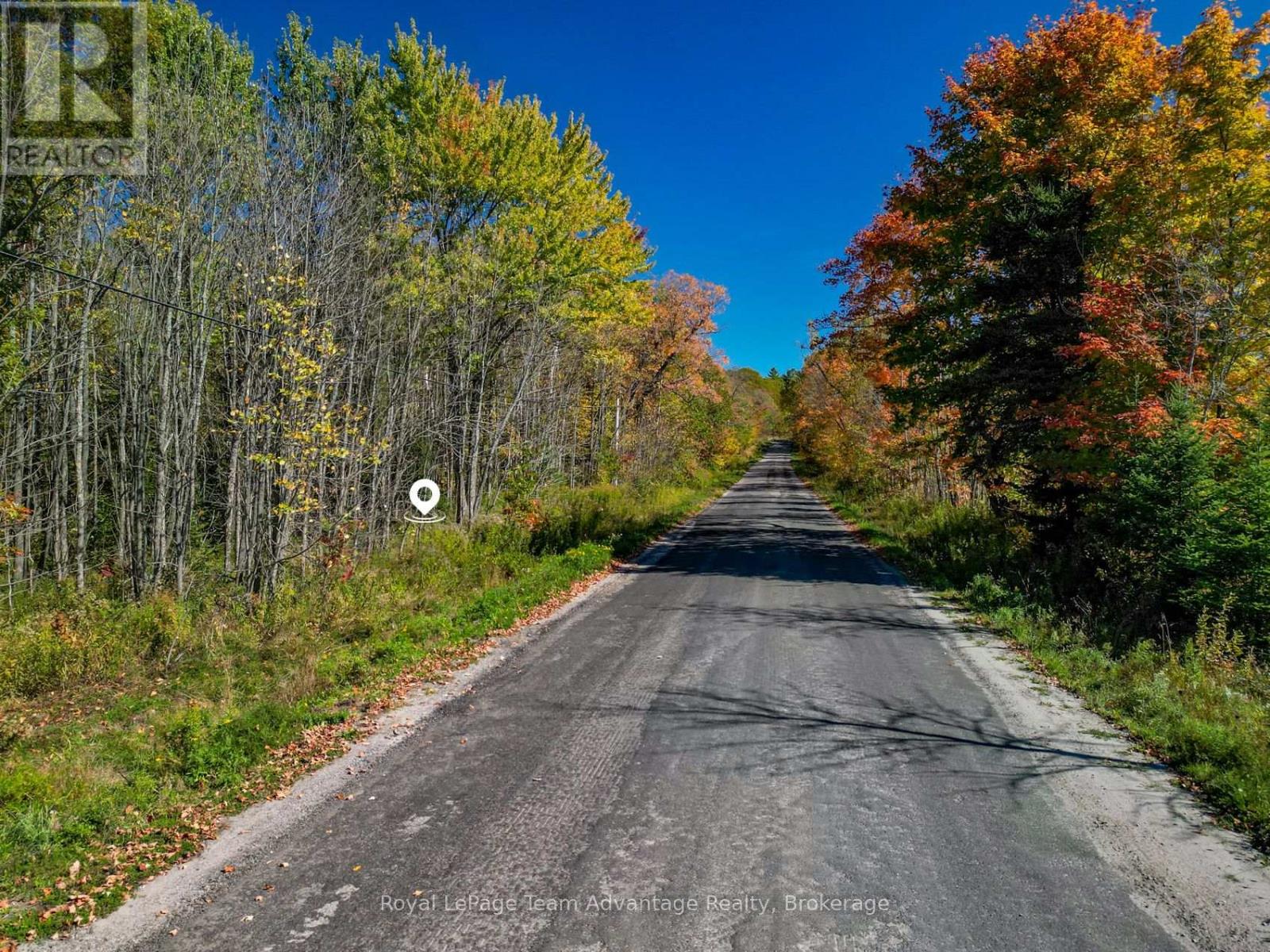 186 Turtle Lake Road, Seguin, Ontario  P0C 1J0 - Photo 8 - X12449658