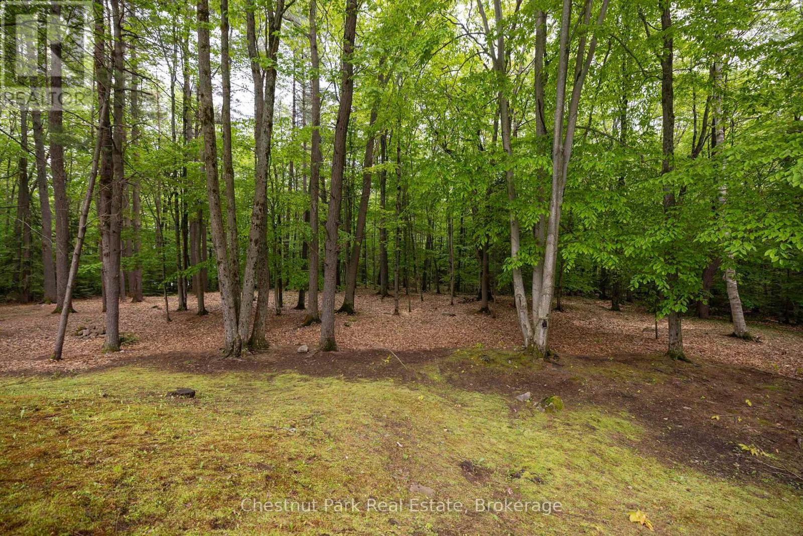 3711 Brunel Road, Lake Of Bays, Ontario  P0B 1A0 - Photo 43 - X12450067