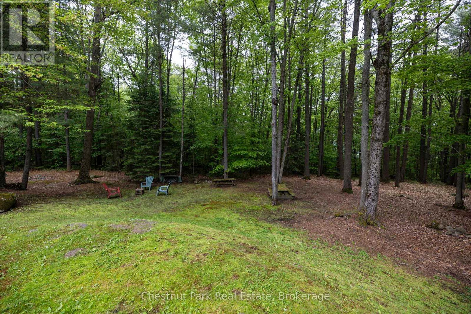 3711 Brunel Road, Lake Of Bays, Ontario  P0B 1A0 - Photo 44 - X12450067