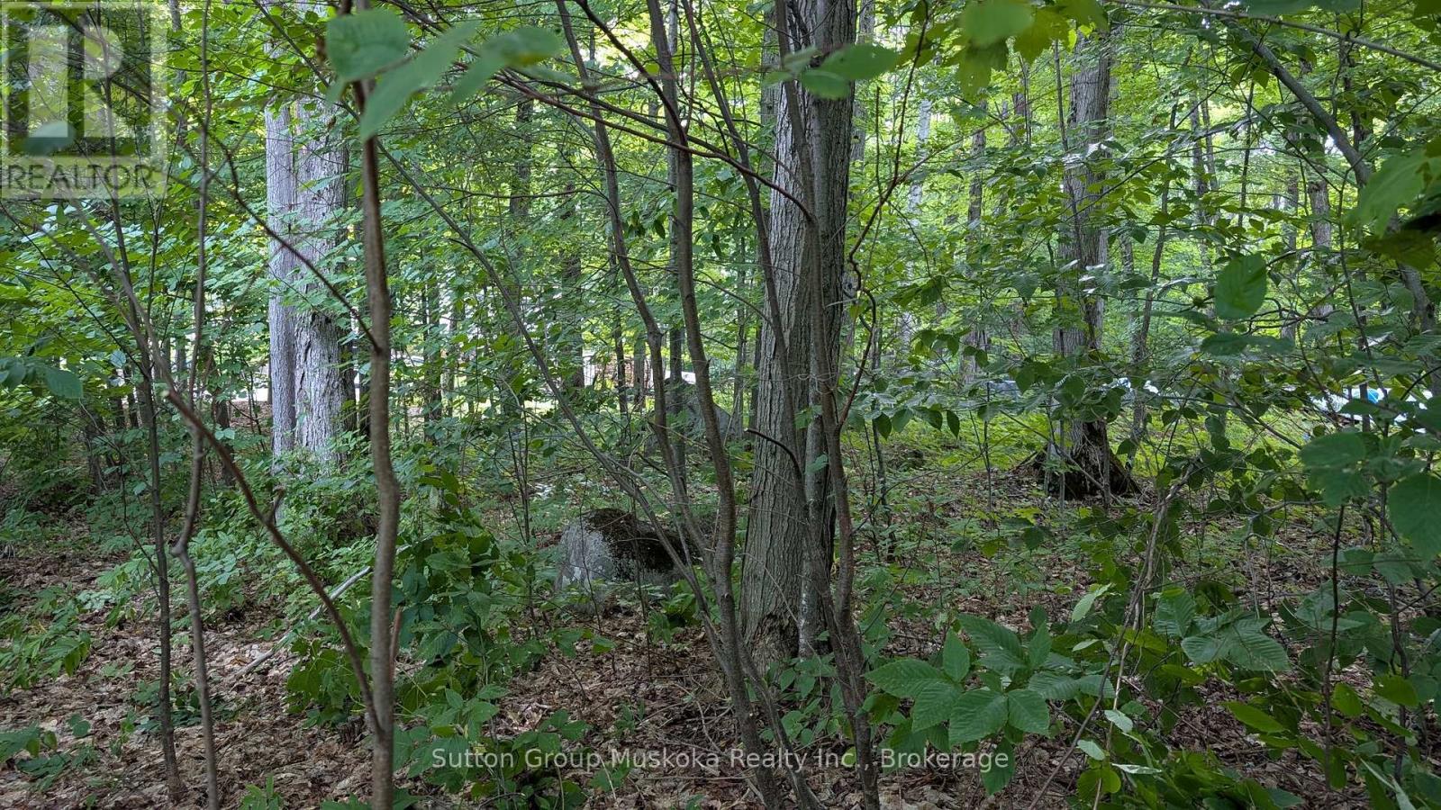 837 Aspdin Road, Huntsville, Ontario  P1H 0H2 - Photo 2 - X12451305