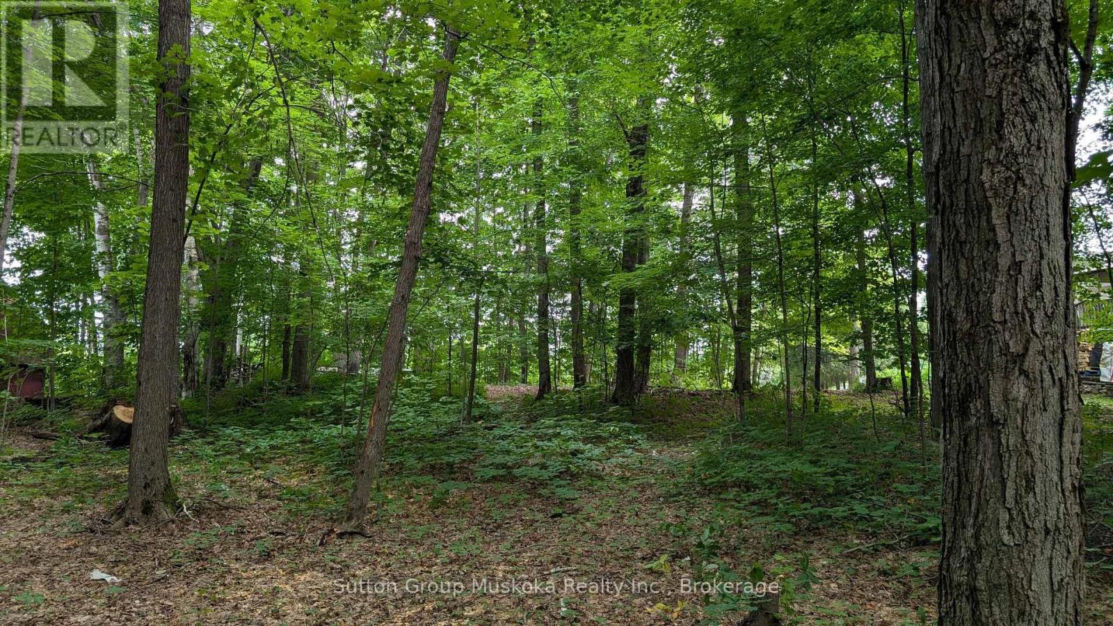 837 Aspdin Road, Huntsville, Ontario  P1H 0H2 - Photo 3 - X12451305