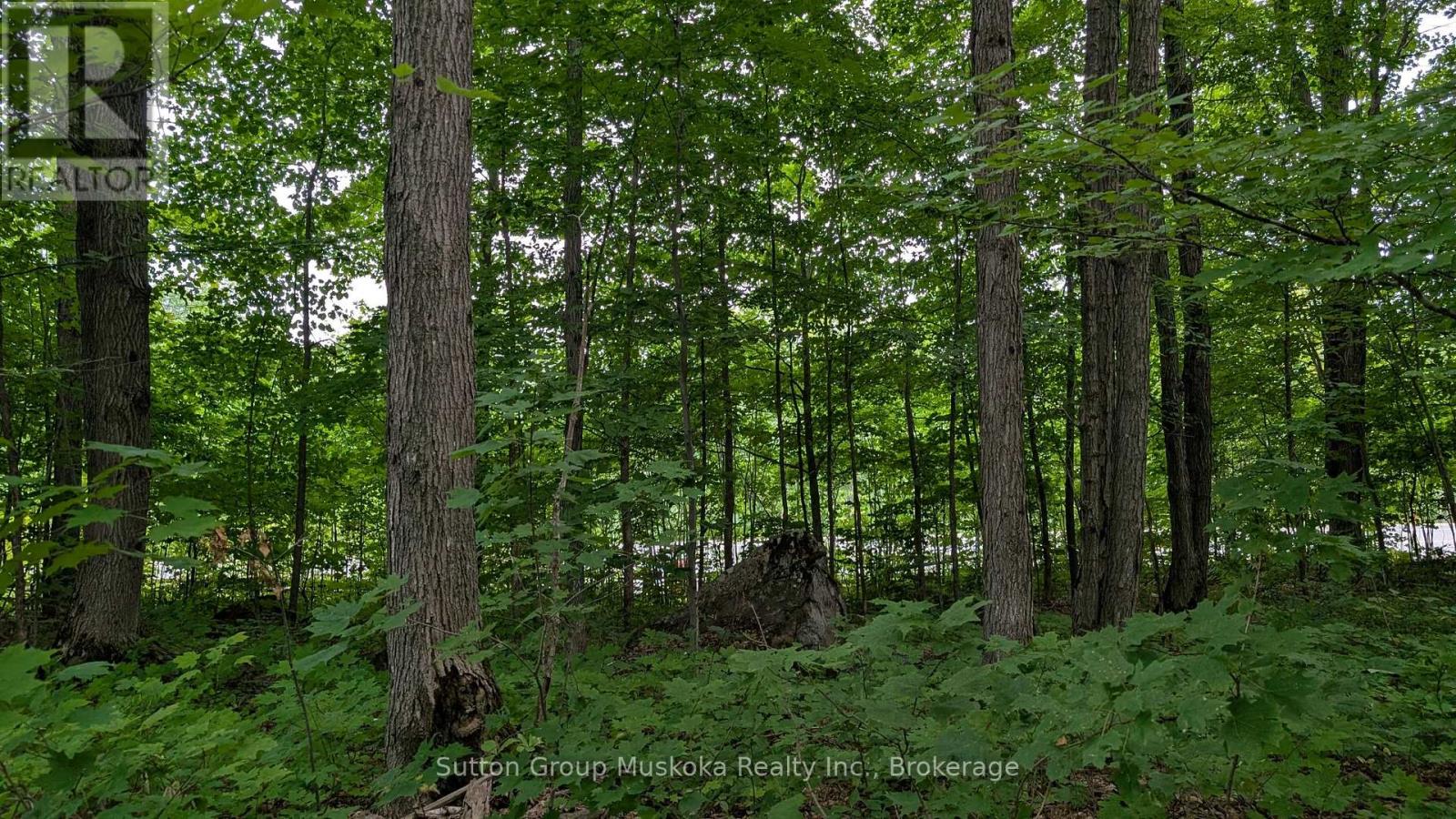 837 Aspdin Road, Huntsville, Ontario  P1H 0H2 - Photo 4 - X12451305