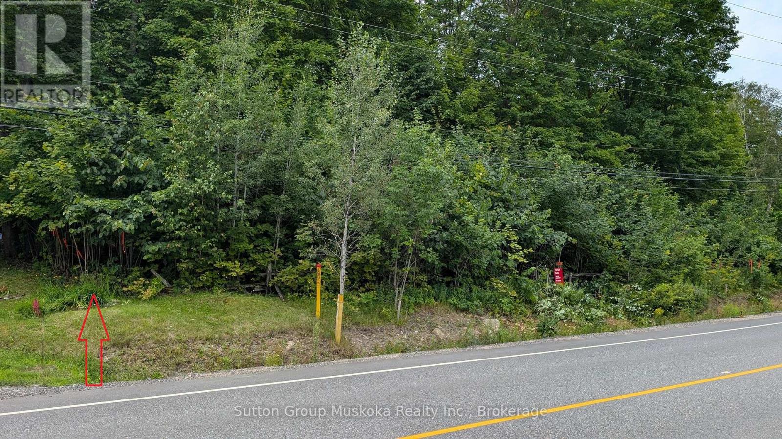 837 Aspdin Road, Huntsville, Ontario  P1H 0H2 - Photo 7 - X12451305