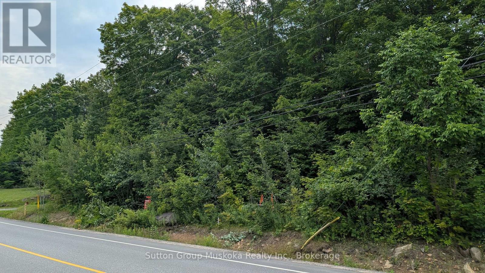 837 Aspdin Road, Huntsville, Ontario  P1H 0H2 - Photo 8 - X12451305