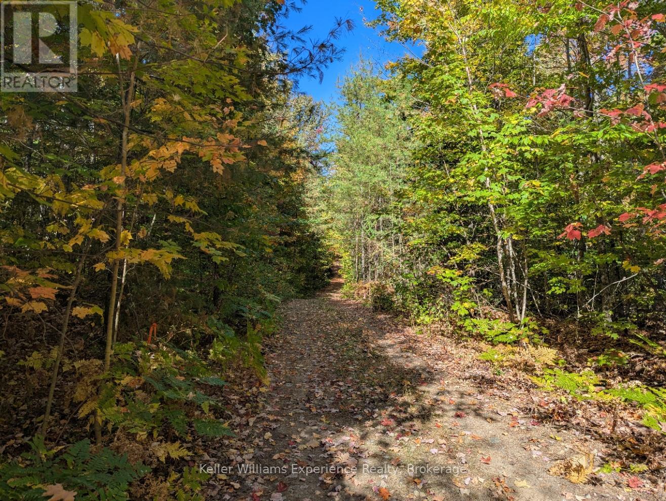 0 Langford Road, Lake Of Bays, Ontario  P0B 1A0 - Photo 11 - X12451423