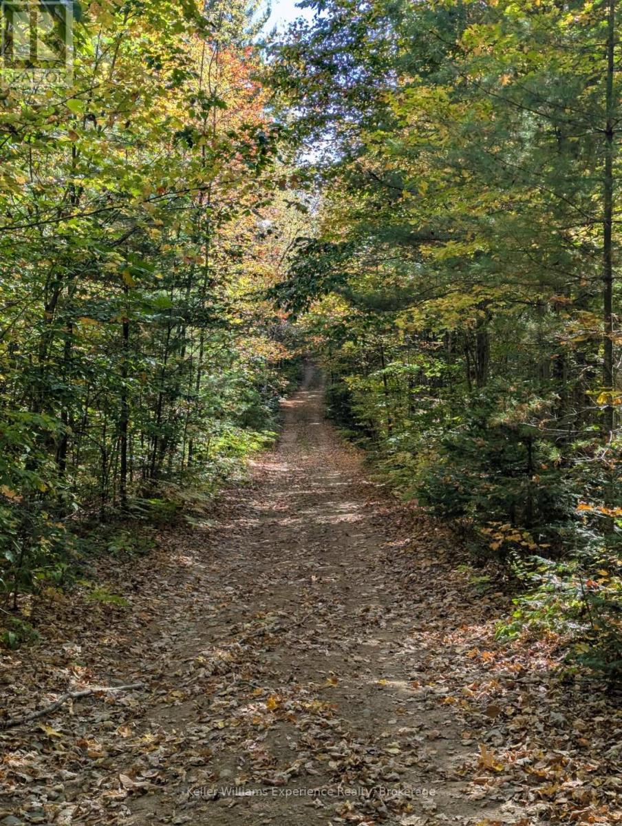 0 Langford Road, Lake Of Bays, Ontario  P0B 1A0 - Photo 15 - X12451423