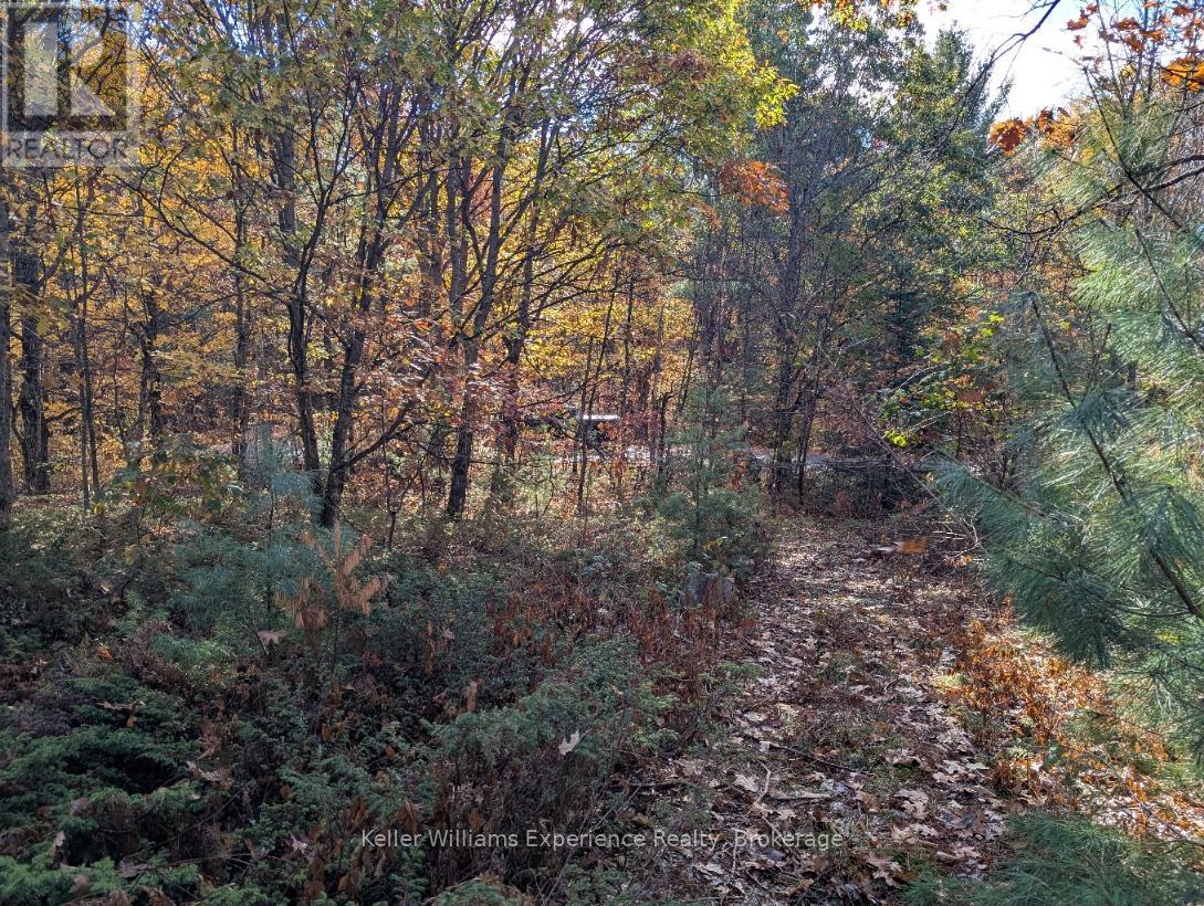 0 Langford Road, Lake Of Bays, Ontario  P0B 1A0 - Photo 18 - X12451423