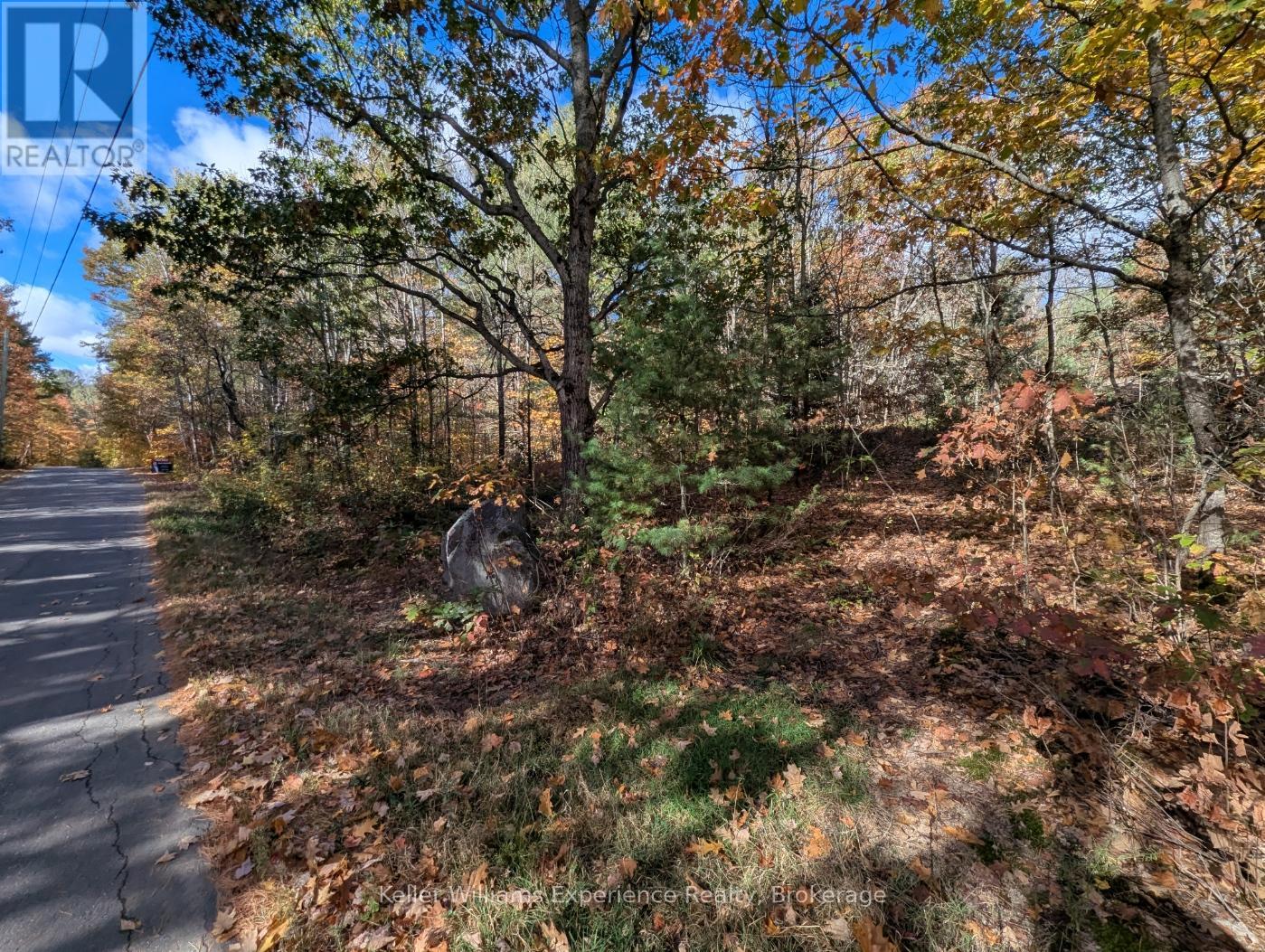 0 Langford Road, Lake Of Bays, Ontario  P0B 1A0 - Photo 2 - X12451423
