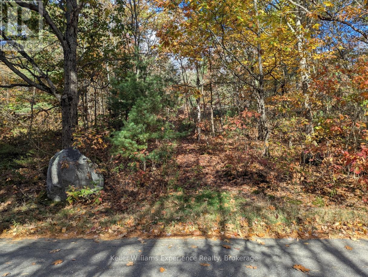 0 Langford Road, Lake Of Bays, Ontario  P0B 1A0 - Photo 4 - X12451423