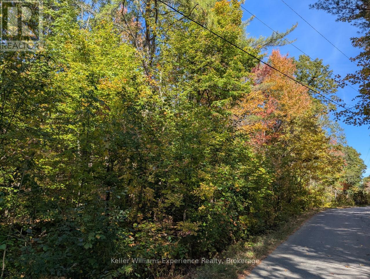 0 Langford Road, Lake Of Bays, Ontario  P0B 1A0 - Photo 7 - X12451423