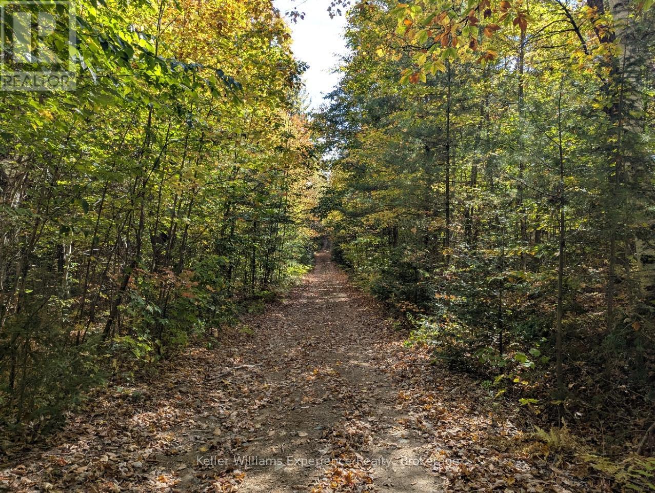 0 Langford Road, Lake Of Bays, Ontario  P0B 1A0 - Photo 8 - X12451423