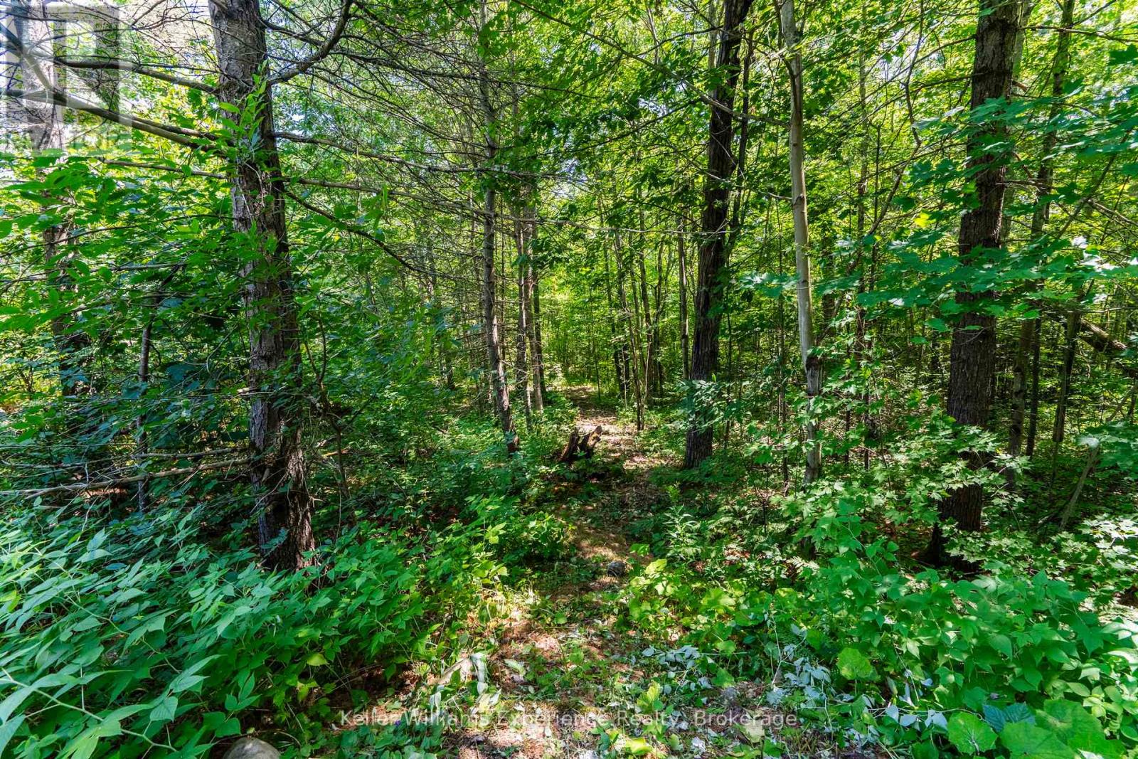 753 Honey Harbour Road, Georgian Bay, Ontario  L0K 1S0 - Photo 38 - X12451673