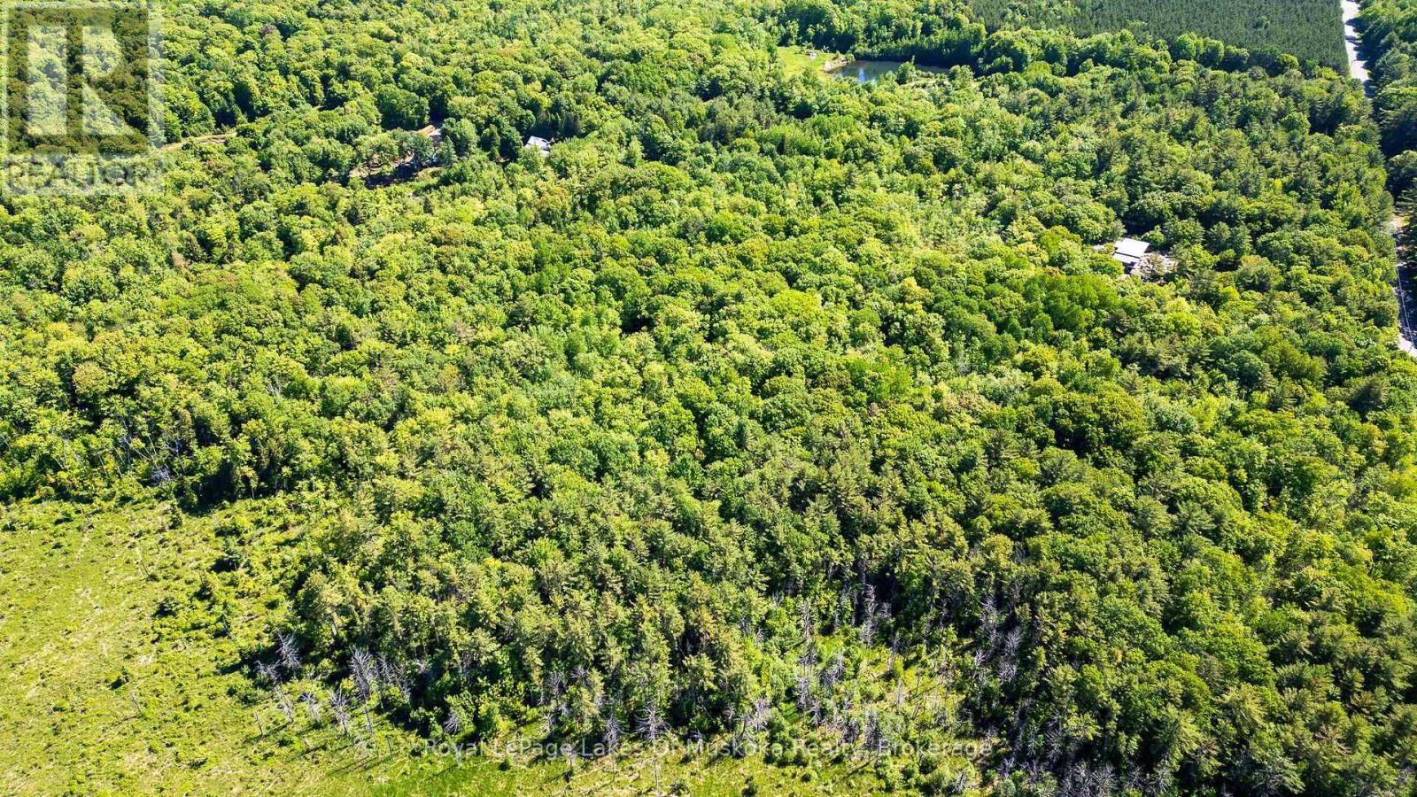 0 Southwood Road, Gravenhurst, Ontario  P0E 1G0 - Photo 13 - X12452035