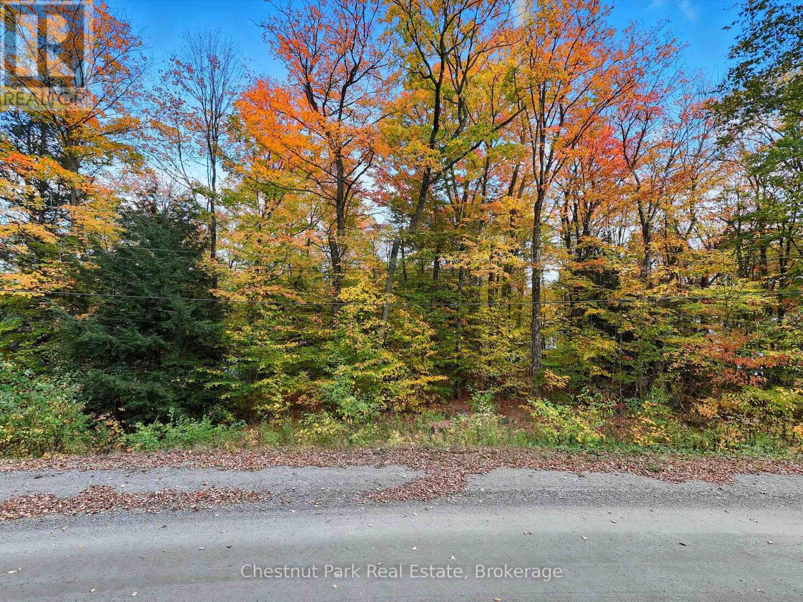 0 North Menominee Lake Road, Lake Of Bays, Ontario  P0B 1A0 - Photo 12 - X12452664