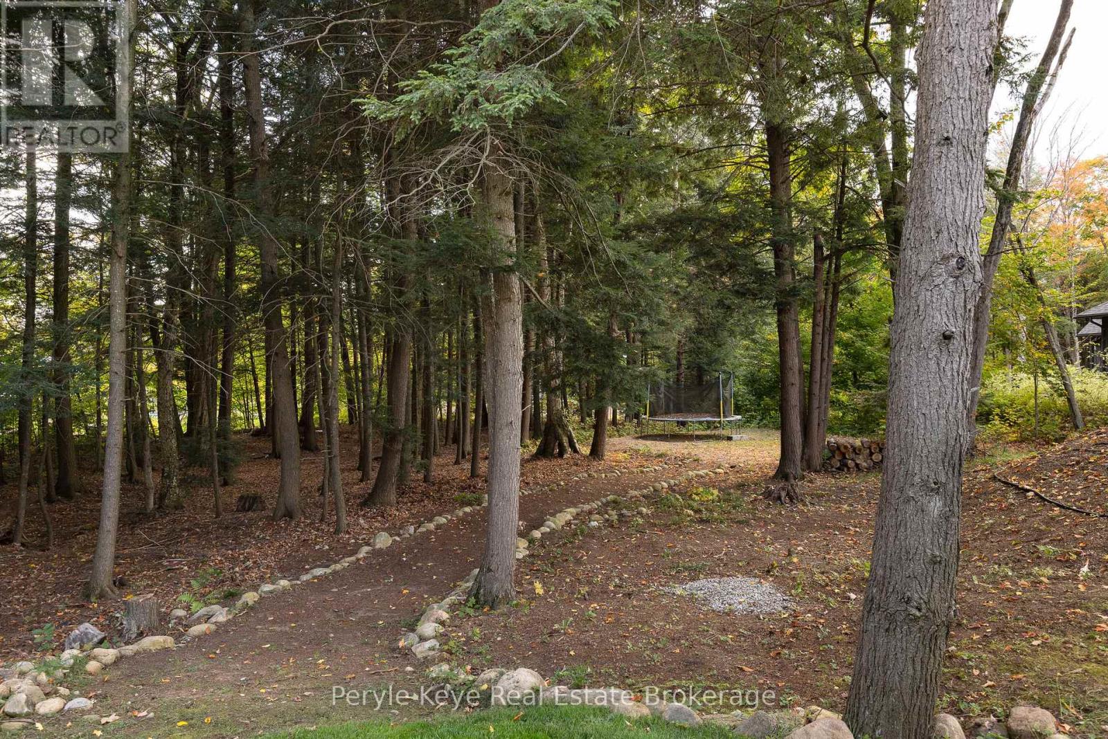 1100 Xavier Street, Gravenhurst, Ontario  P0E 1G0 - Photo 45 - X12453391