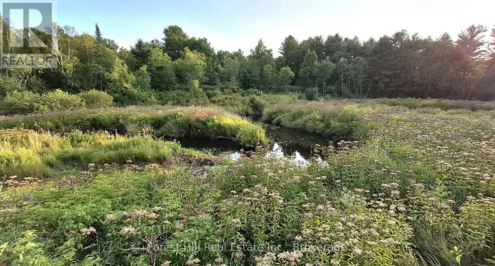 77 James Bay Junction Road S, Seguin, Ontario  P2A 0B2 - Photo 3 - X12453718