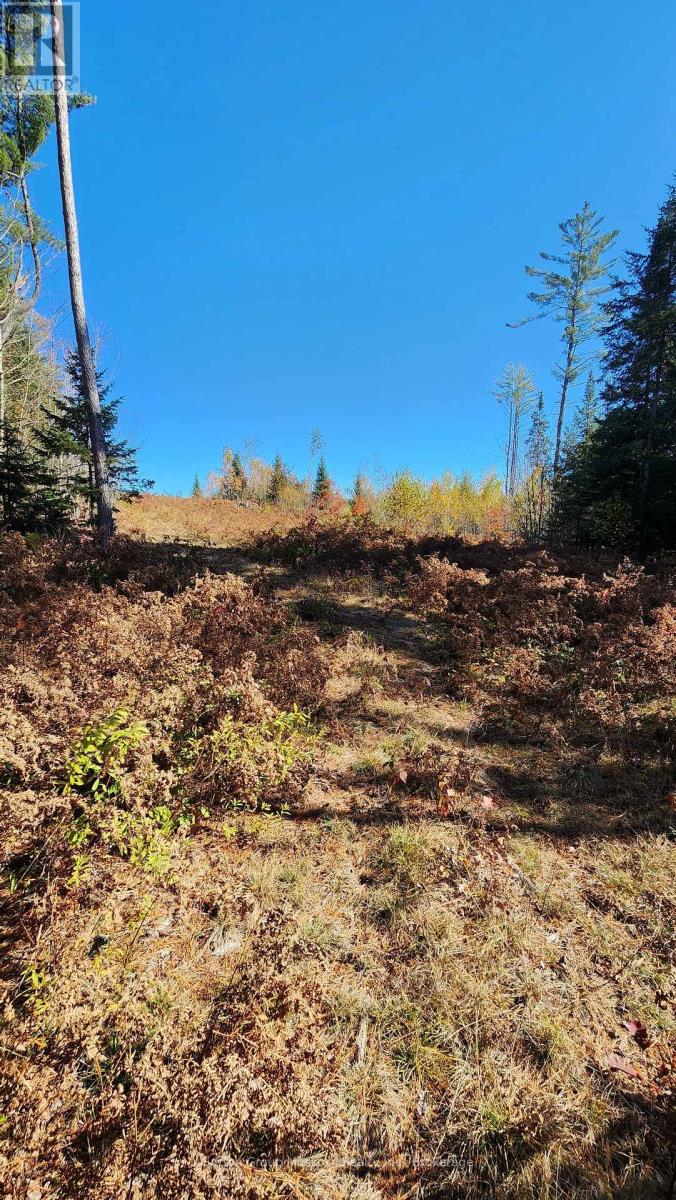 00 Red Pine Trail, Bracebridge, Ontario  P0B 1L0 - Photo 4 - X12456558