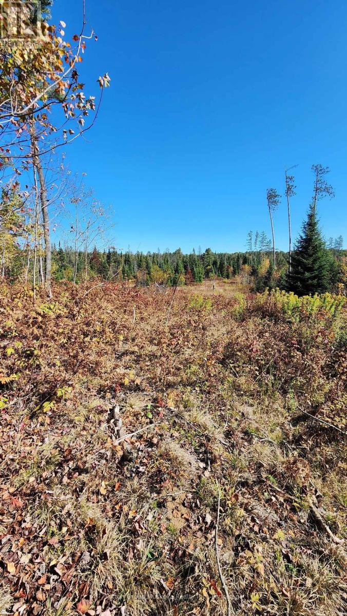 00 Red Pine Trail, Bracebridge, Ontario  P0B 1L0 - Photo 5 - X12456558