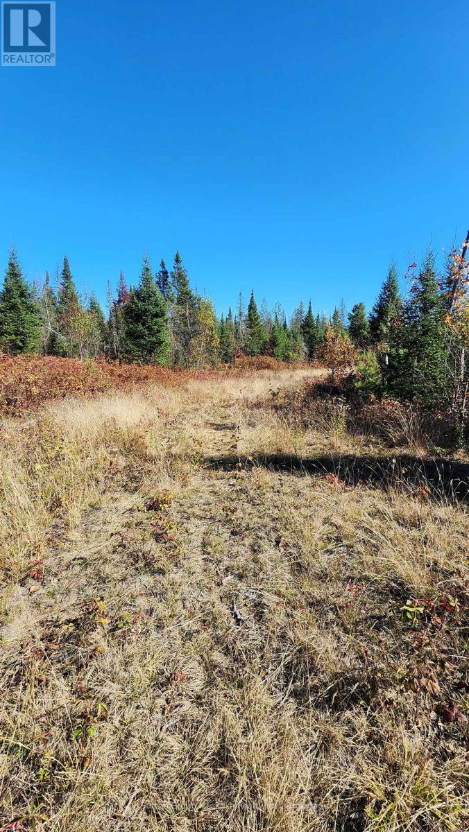 00 Red Pine Trail, Bracebridge, Ontario  P0B 1L0 - Photo 7 - X12456558