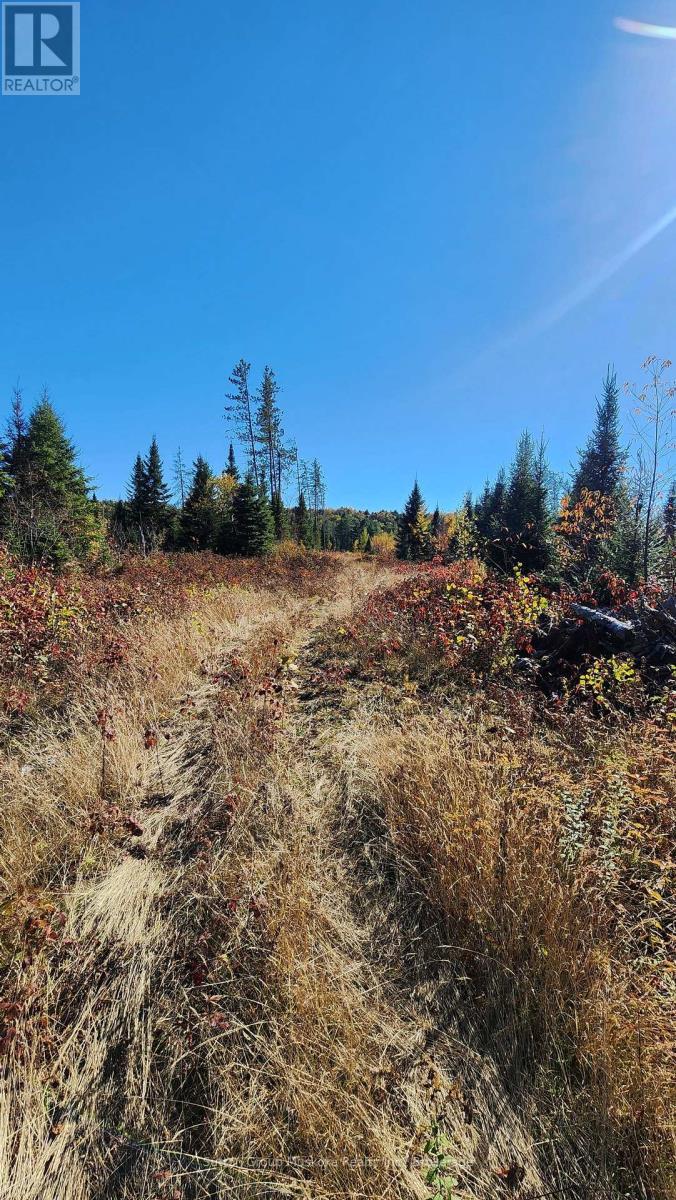 00 Red Pine Trail, Bracebridge, Ontario  P0B 1L0 - Photo 8 - X12456558