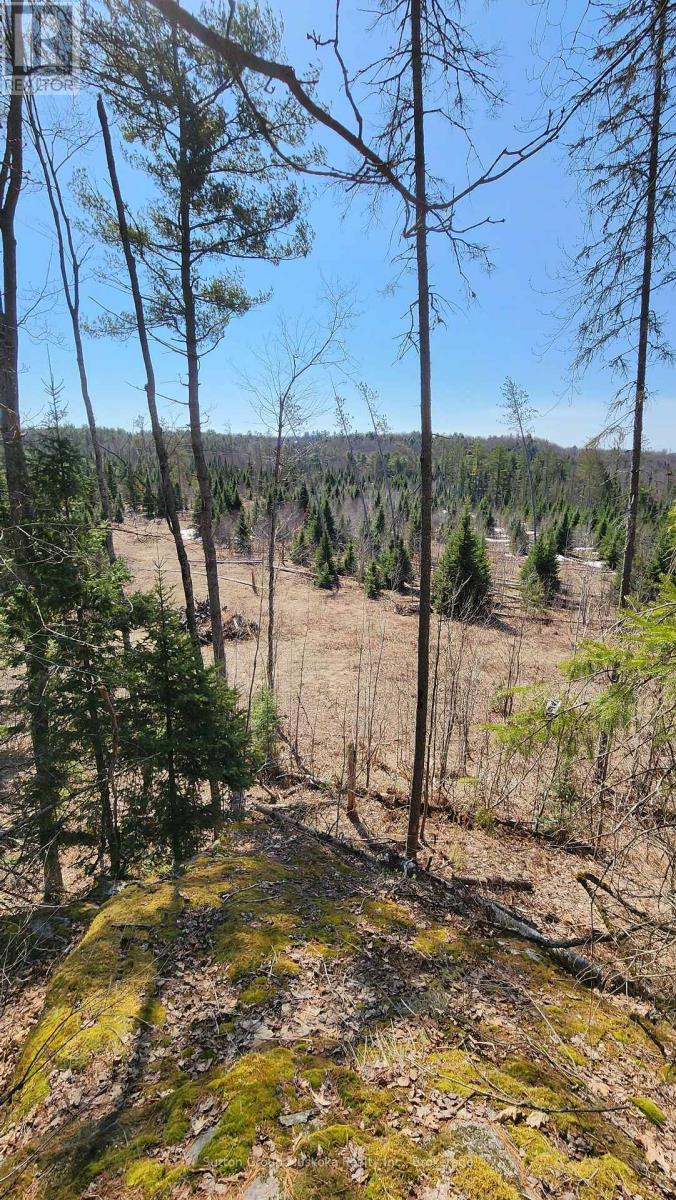 00 Red Pine Trail, Bracebridge, Ontario  P0B 1L0 - Photo 9 - X12456558