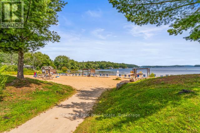 B#206 - 1869 Muskoka Road 118 Highway W, Muskoka Lakes, Ontario  P1L 1W8 - Photo 22 - X12456698