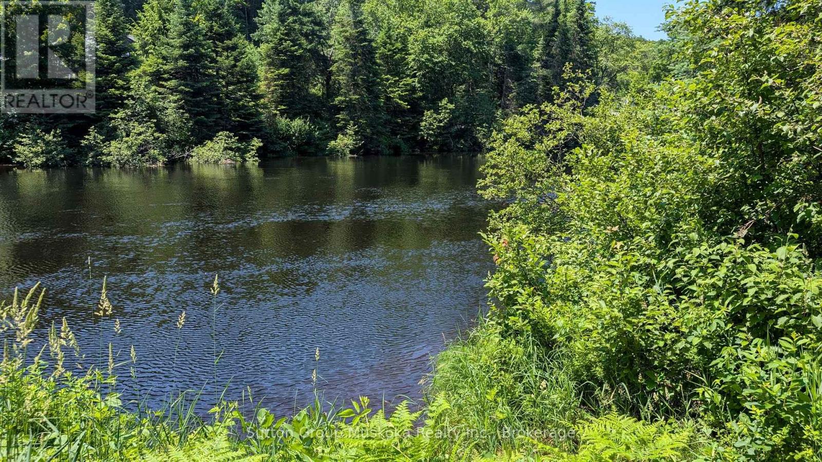 Lot 1 Red Pine Trail, Bracebridge, Ontario  P0B 1L0 - Photo 3 - X12457488