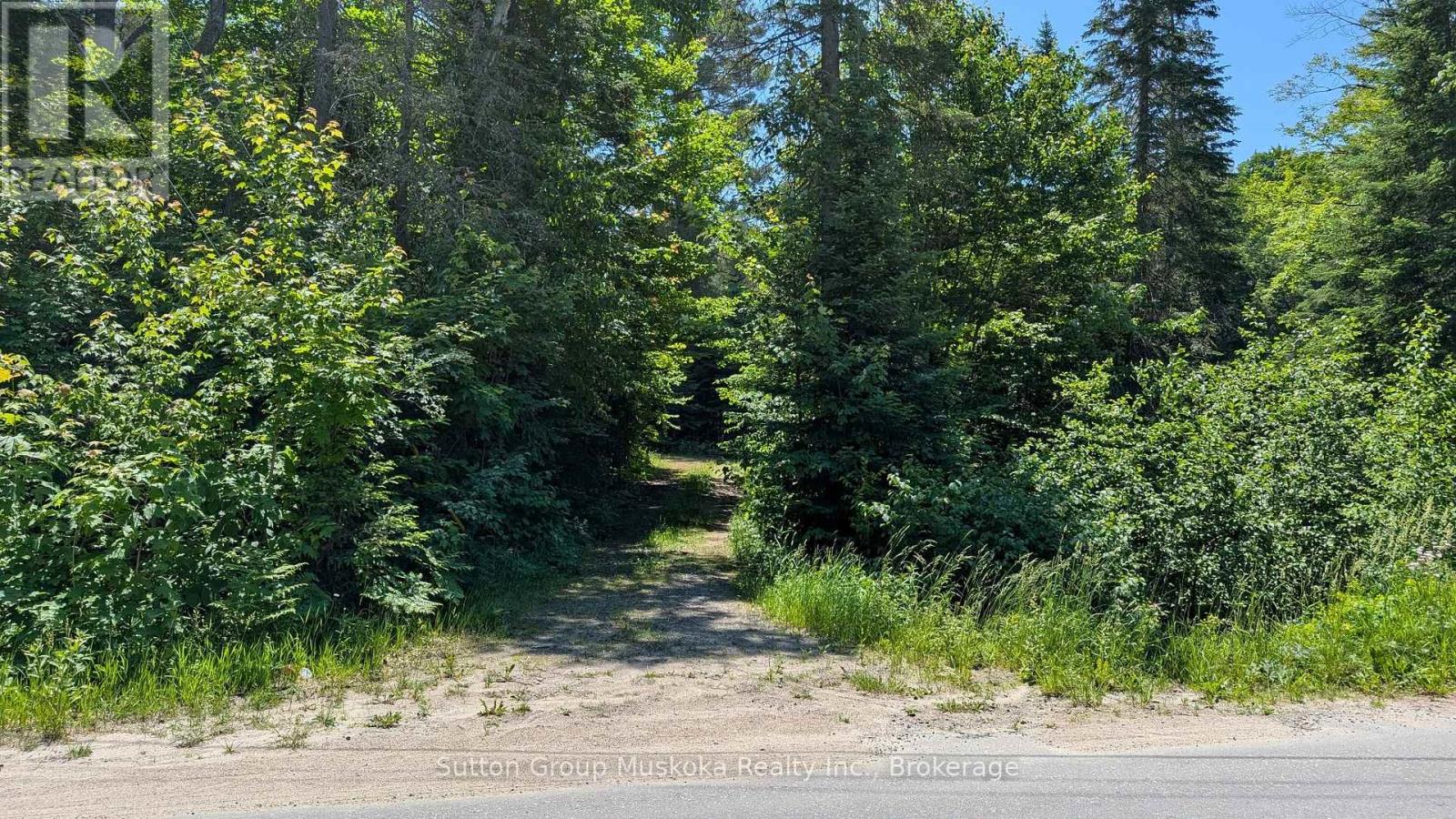 Lot 1 Red Pine Trail, Bracebridge, Ontario  P0B 1L0 - Photo 5 - X12457488