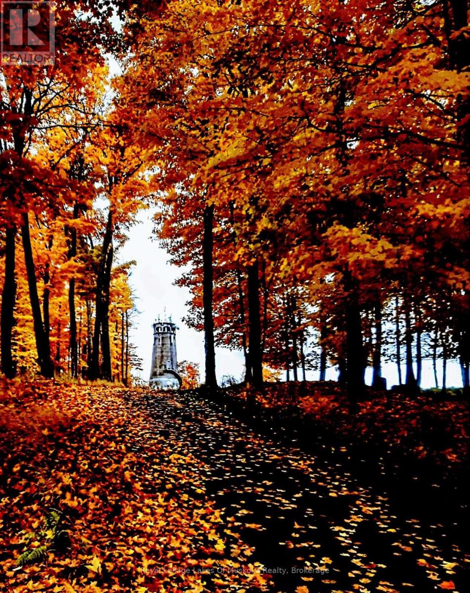 307 - 12 Bigwin Island Island, Lake Of Bays, Ontario  P0A 1E0 - Photo 10 - X12458411