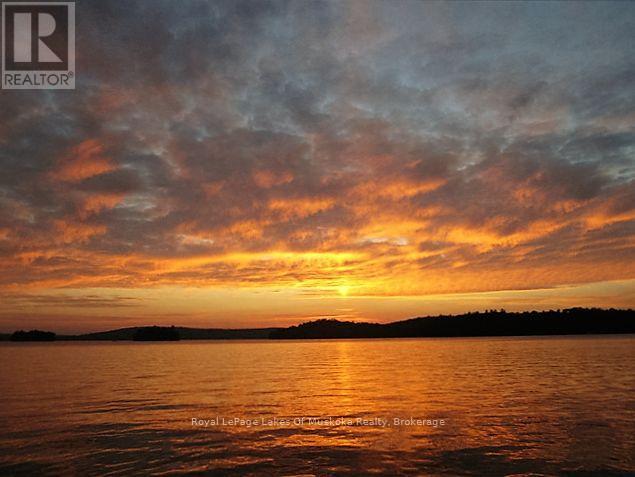 307 - 12 Bigwin Island Island, Lake Of Bays, Ontario  P0A 1E0 - Photo 17 - X12458411
