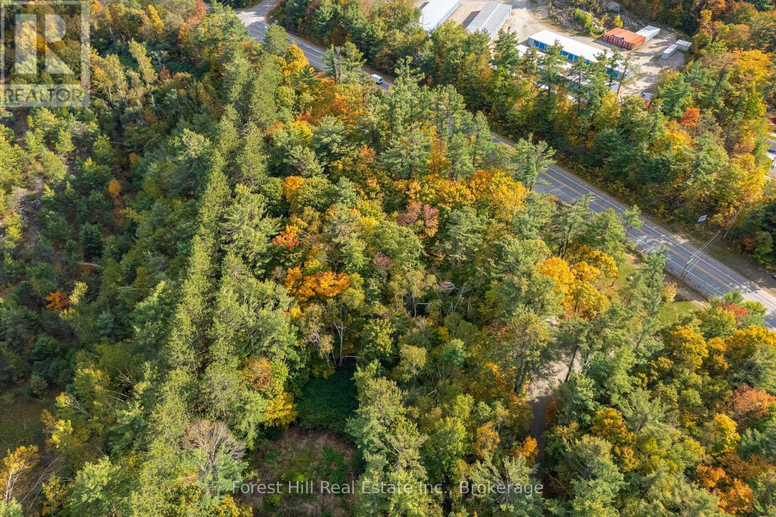 3864 Highway 118 W, Muskoka Lakes, Ontario  P0B 1J0 - Photo 18 - X12458892