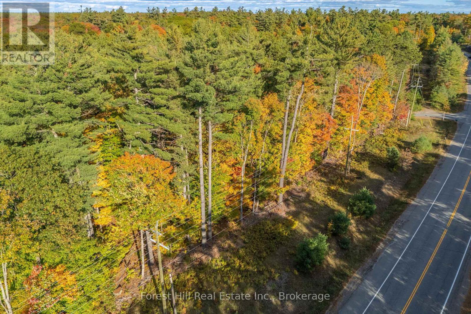 3864 Highway 118 W, Muskoka Lakes, Ontario  P0B 1J0 - Photo 24 - X12458892