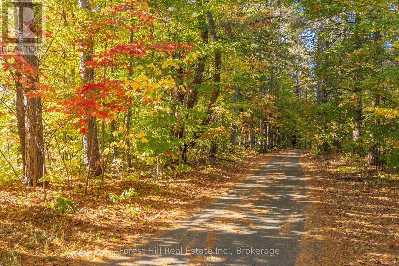 3864 Highway 118 W, Muskoka Lakes, Ontario  P0B 1J0 - Photo 27 - X12458892