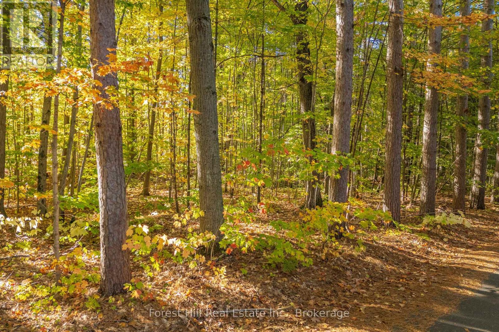 3864 Highway 118 W, Muskoka Lakes, Ontario  P0B 1J0 - Photo 28 - X12458892