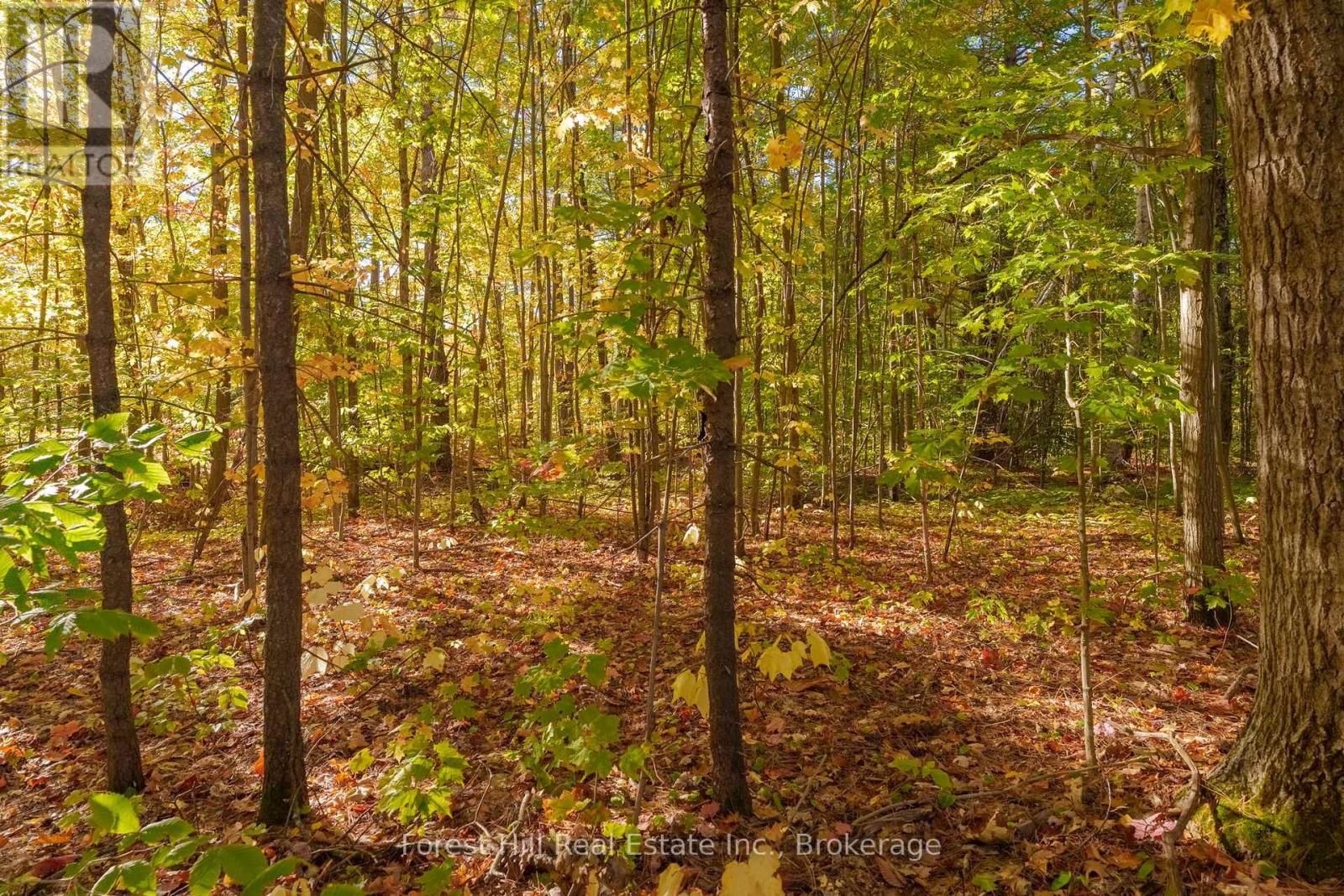 3864 Highway 118 W, Muskoka Lakes, Ontario  P0B 1J0 - Photo 29 - X12458892