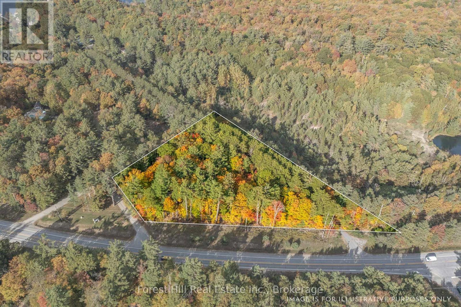 3864 Highway 118 W, Muskoka Lakes, Ontario  P0B 1J0 - Photo 3 - X12458892