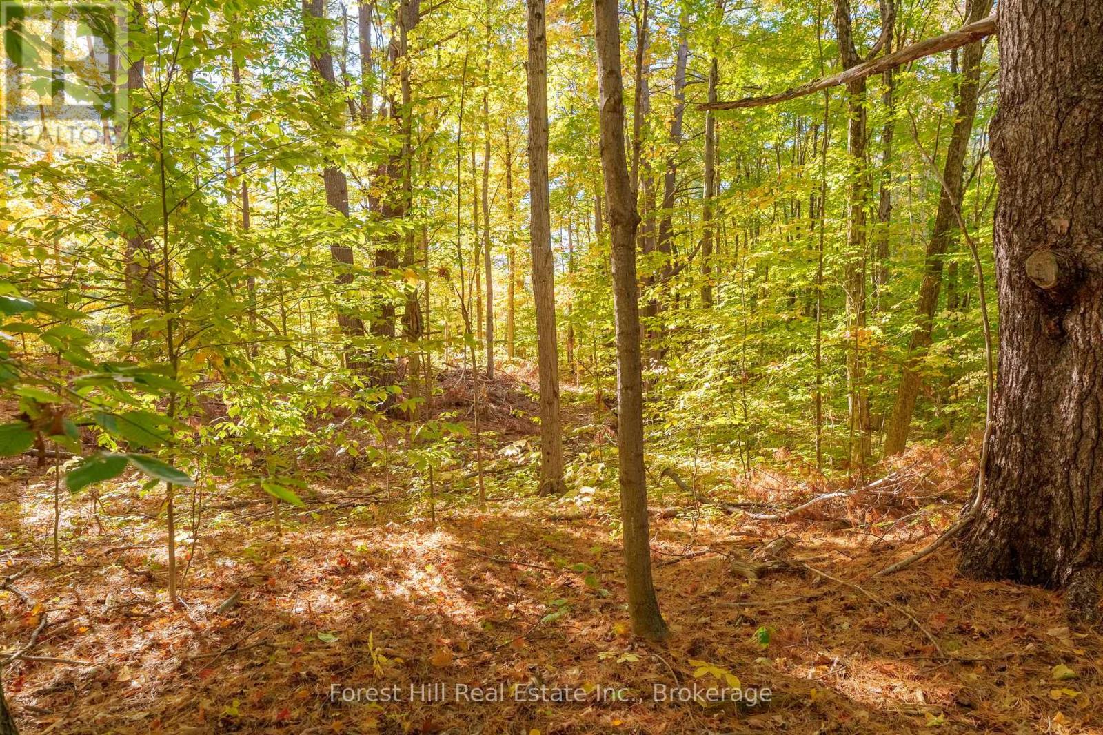 3864 Highway 118 W, Muskoka Lakes, Ontario  P0B 1J0 - Photo 30 - X12458892