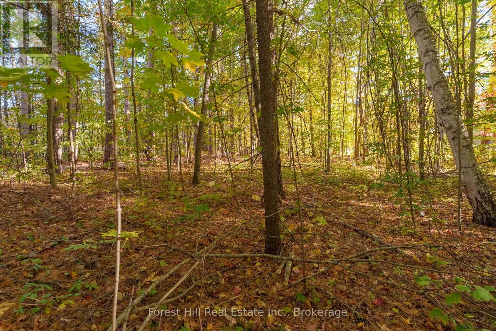 3864 Highway 118 W, Muskoka Lakes, Ontario  P0B 1J0 - Photo 32 - X12458892