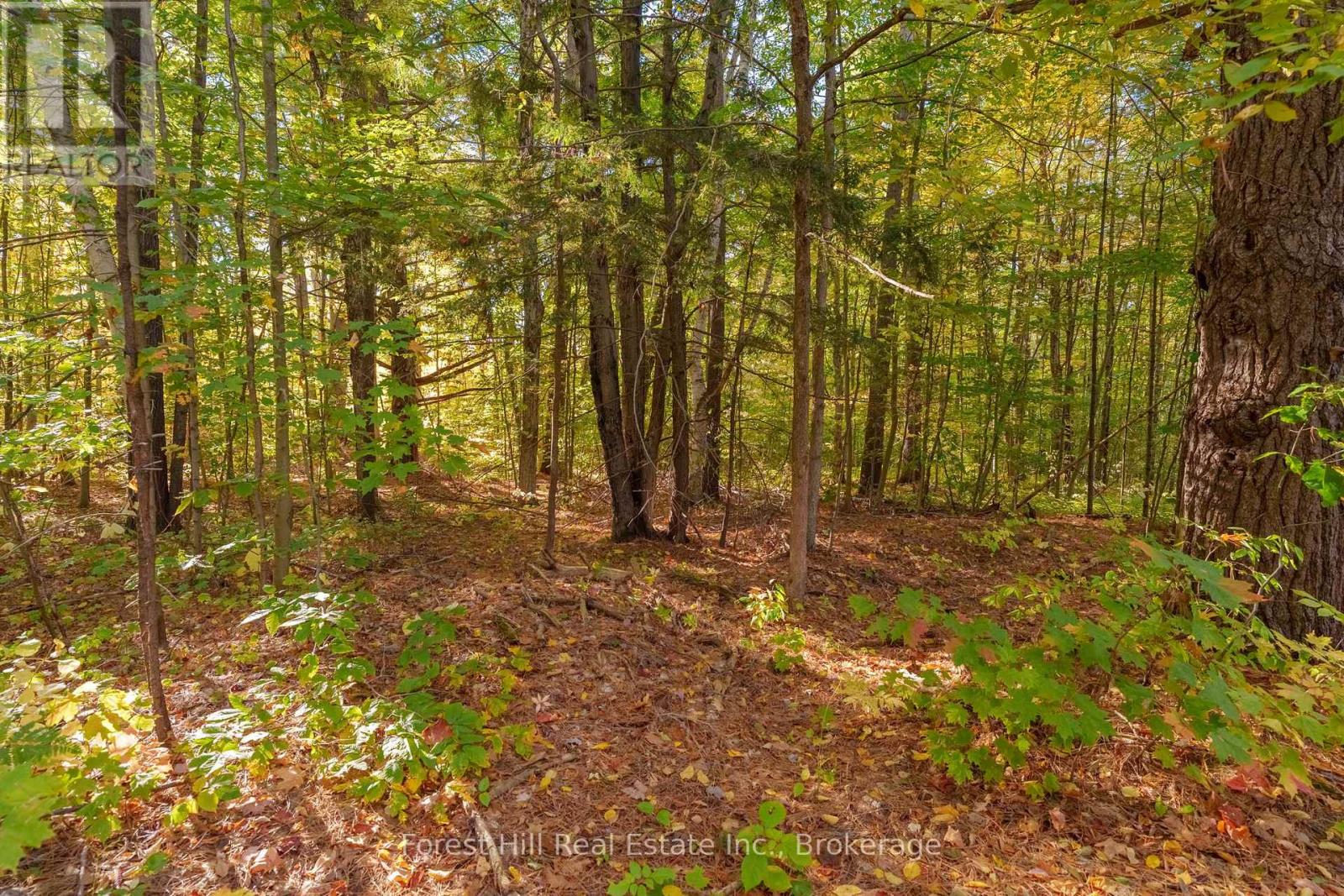 3864 Highway 118 W, Muskoka Lakes, Ontario  P0B 1J0 - Photo 33 - X12458892