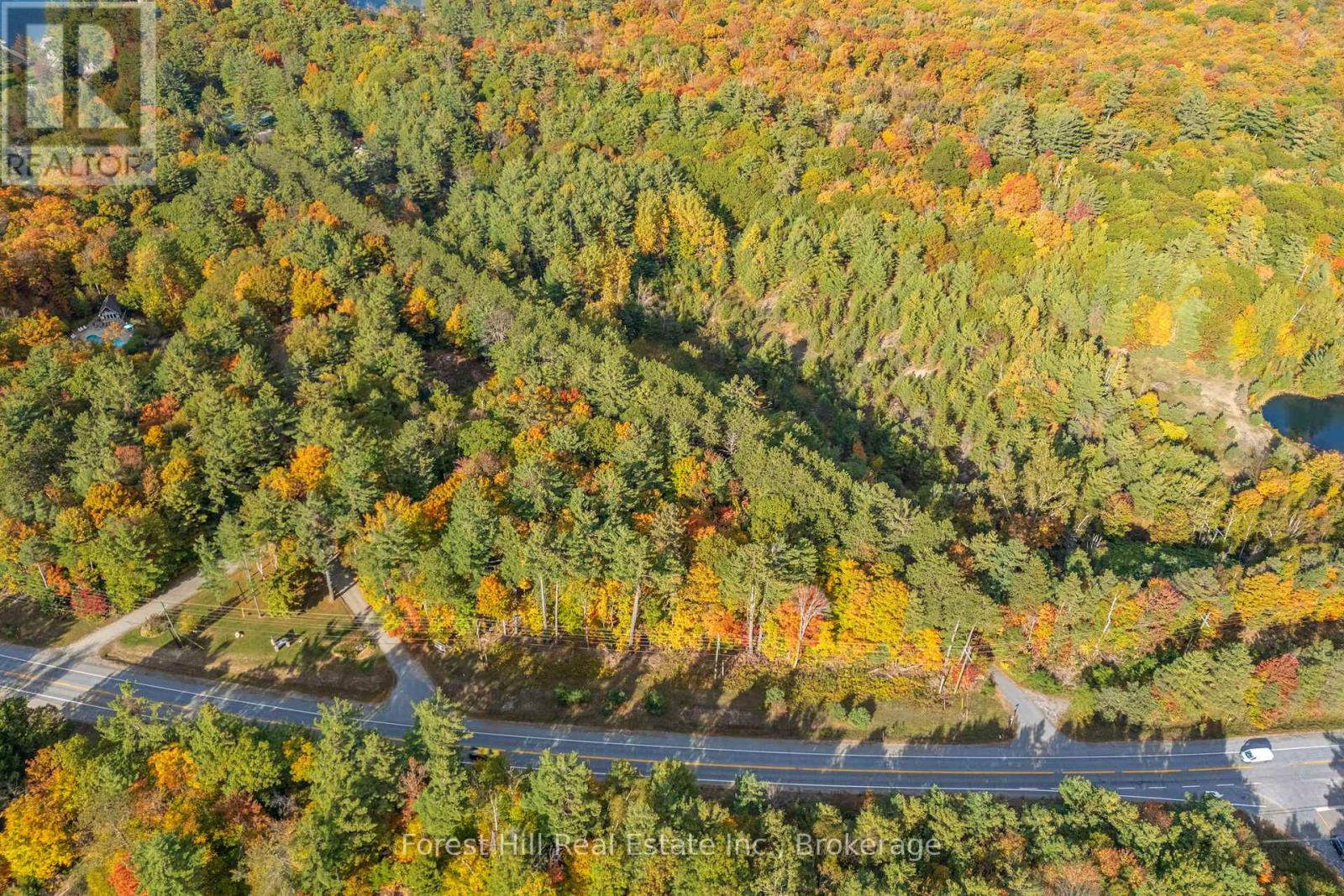 3864 Highway 118 W, Muskoka Lakes, Ontario  P0B 1J0 - Photo 4 - X12458892