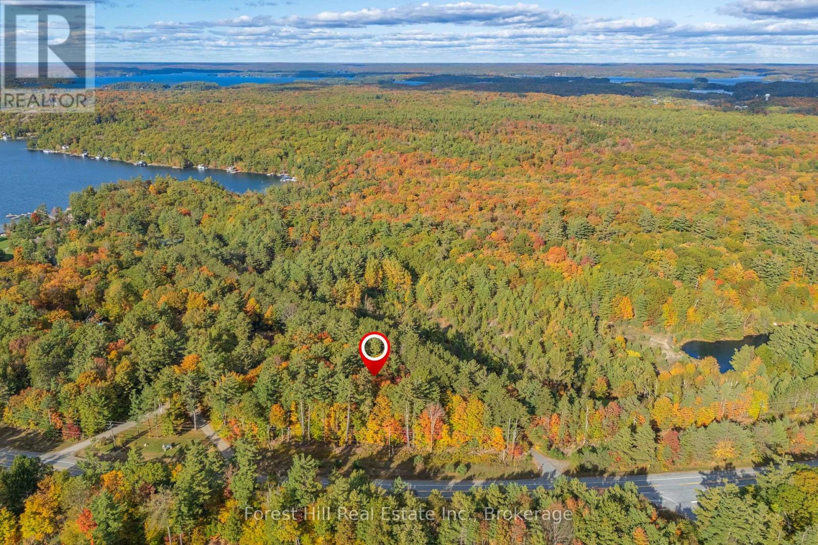 3864 Highway 118 W, Muskoka Lakes, Ontario  P0B 1J0 - Photo 5 - X12458892