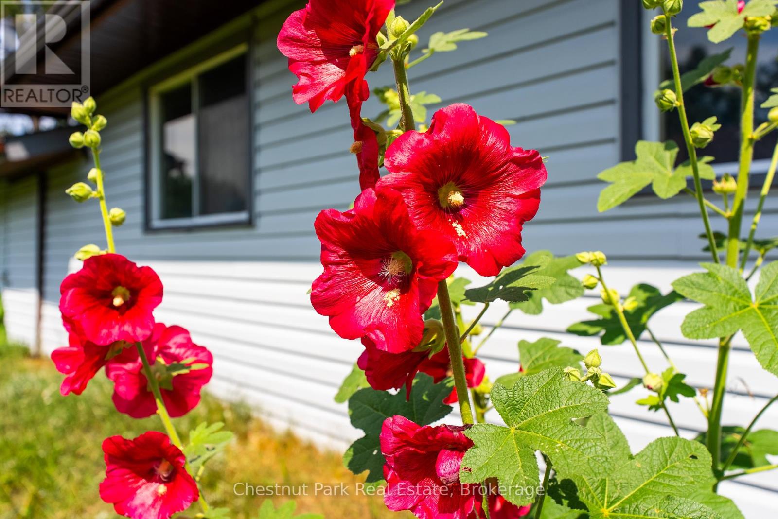 8 Dandelion Lane, Bracebridge, Ontario  P1L 1W8 - Photo 25 - X12465499