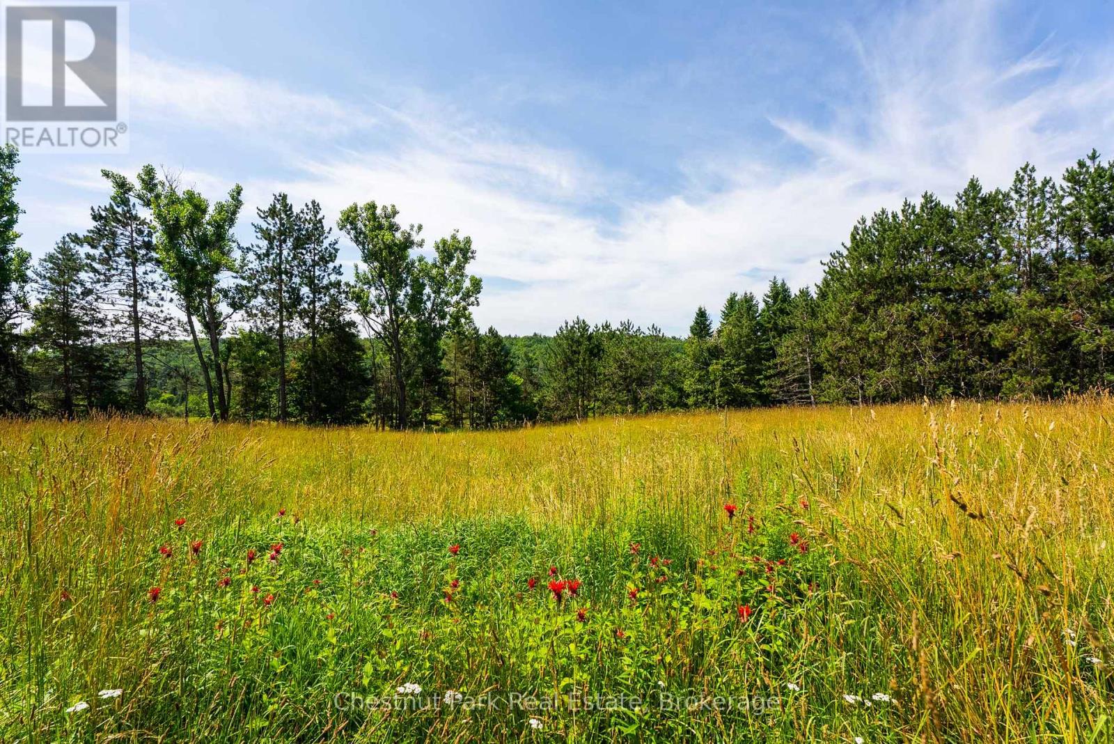 8 Dandelion Lane, Bracebridge, Ontario  P1L 1W8 - Photo 28 - X12465499