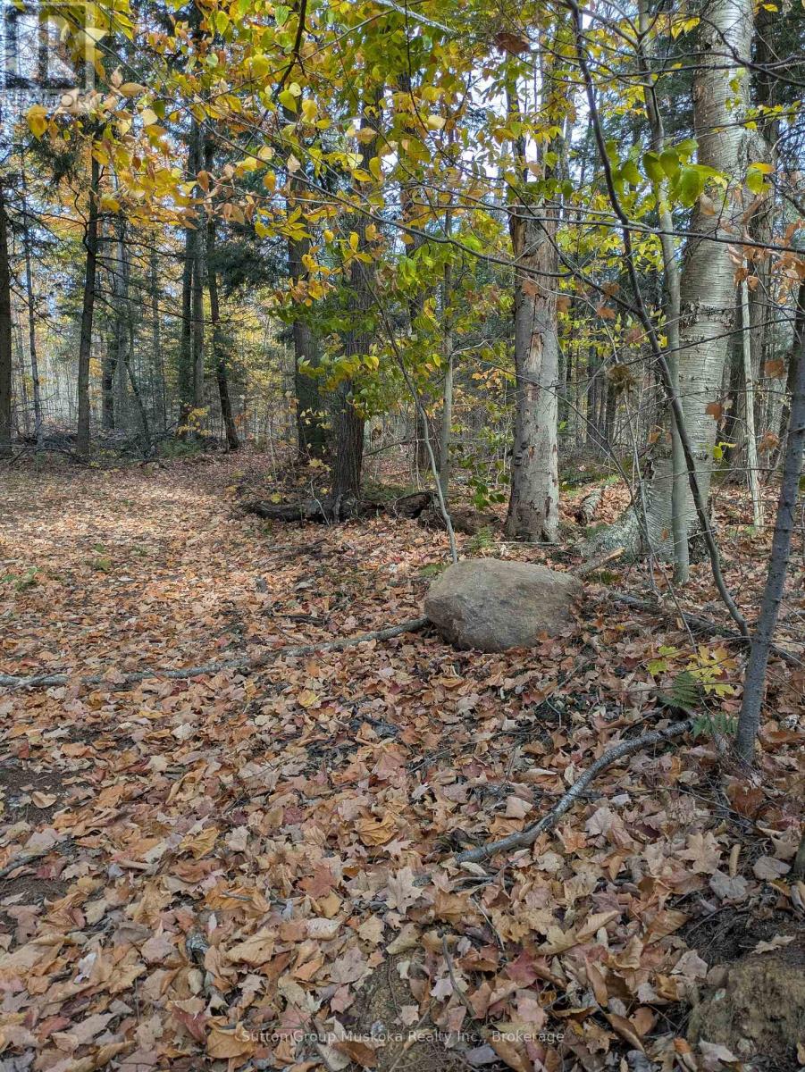 0 118 Highway E, Bracebridge, Ontario  P1L 1X1 - Photo 1 - X12465750