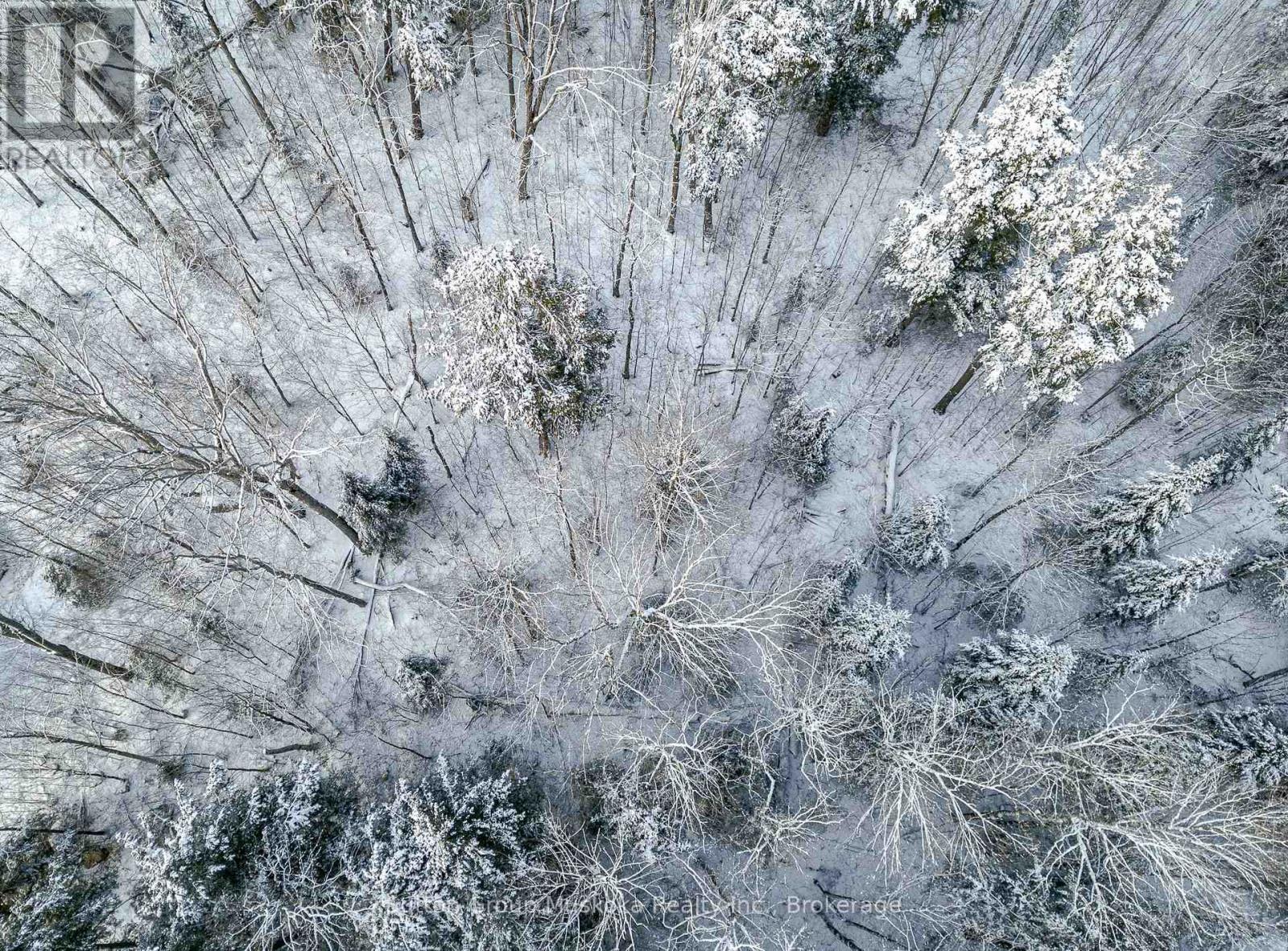 0 118 Highway E, Bracebridge, Ontario  P1L 1X1 - Photo 13 - X12465750