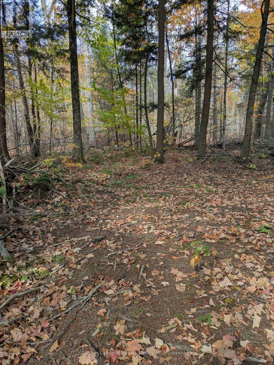 0 118 Highway E, Bracebridge, Ontario  P1L 1X1 - Photo 17 - X12465750