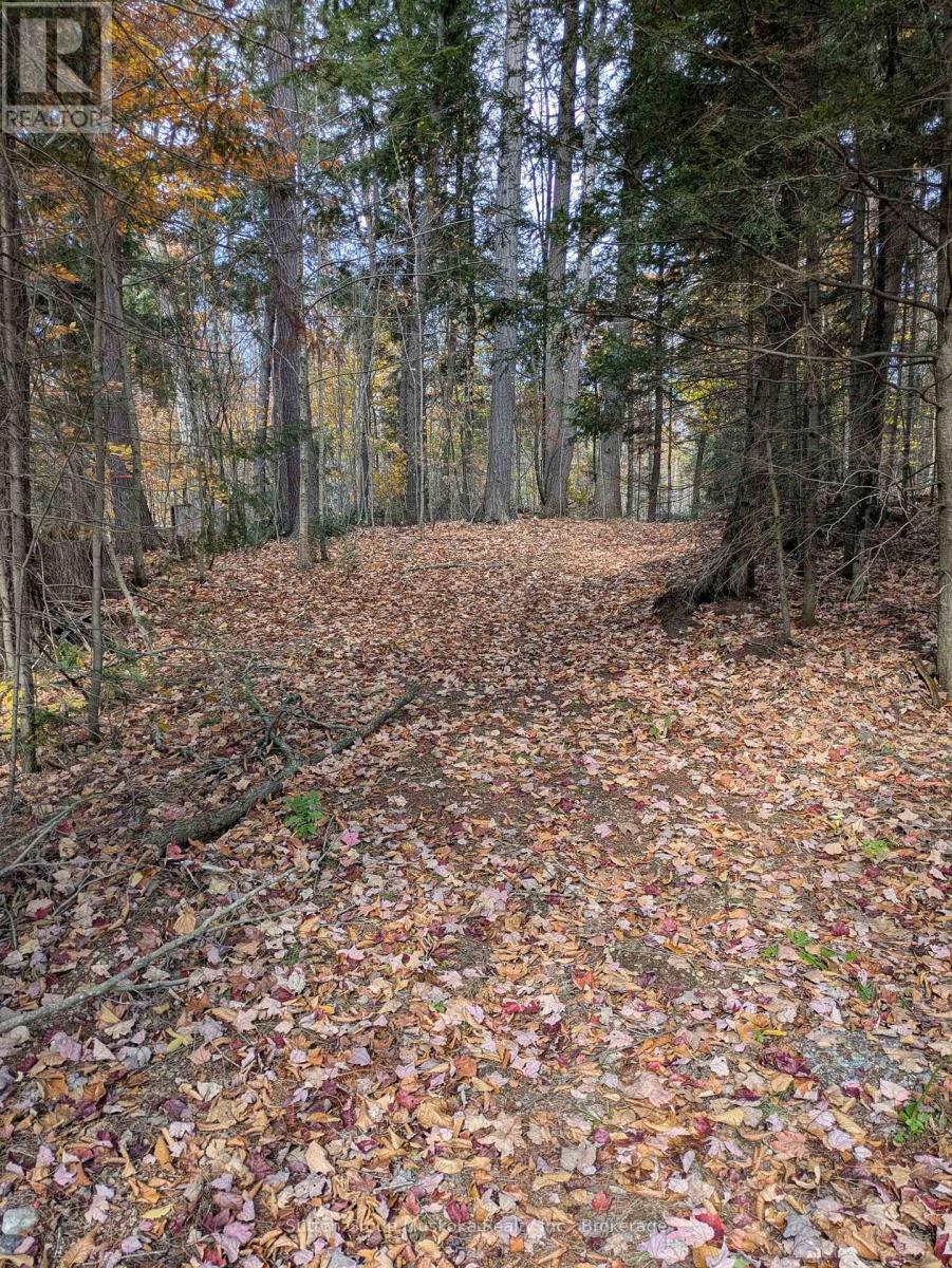 0 118 Highway E, Bracebridge, Ontario  P1L 1X1 - Photo 18 - X12465750