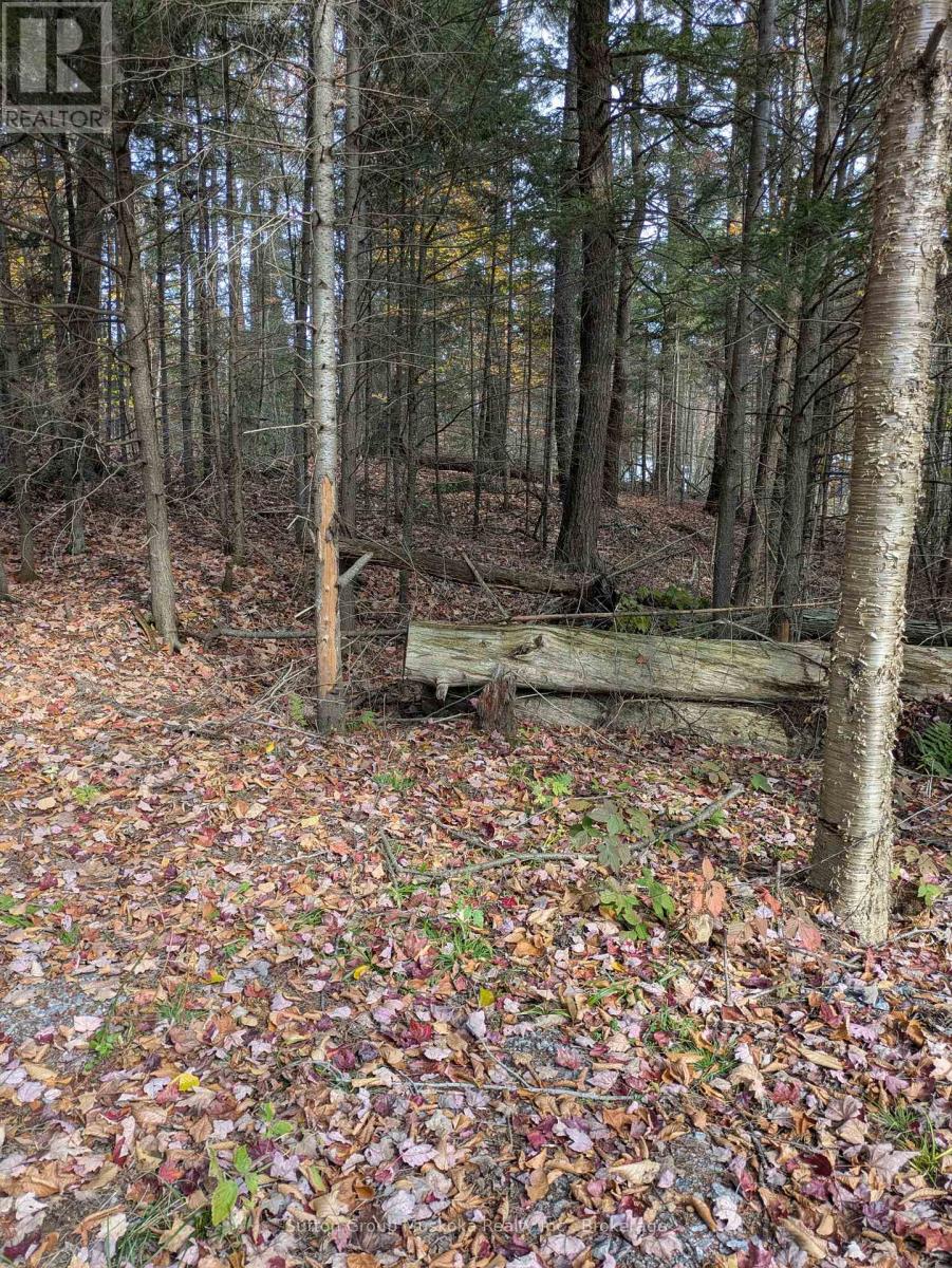 0 118 Highway E, Bracebridge, Ontario  P1L 1X1 - Photo 19 - X12465750