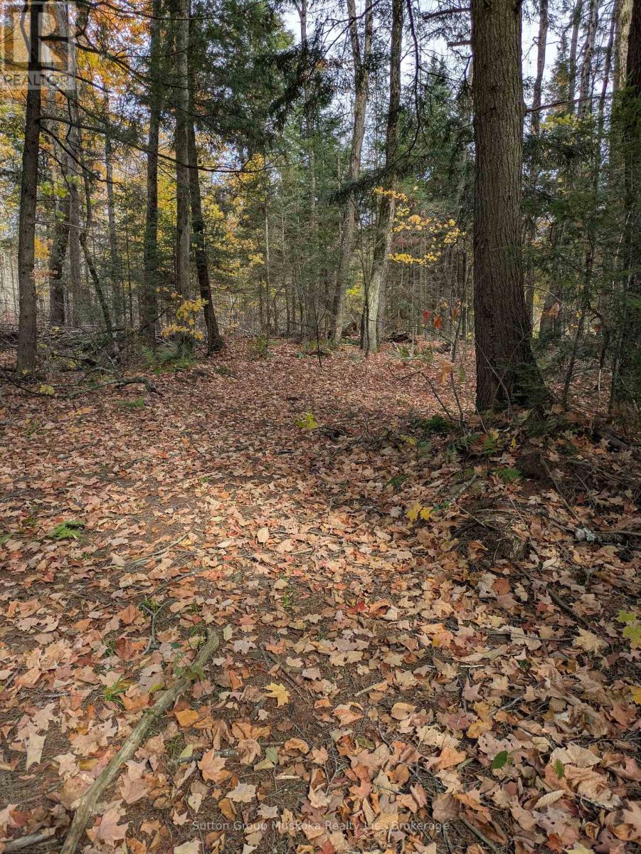 0 118 Highway E, Bracebridge, Ontario  P1L 1X1 - Photo 2 - X12465750