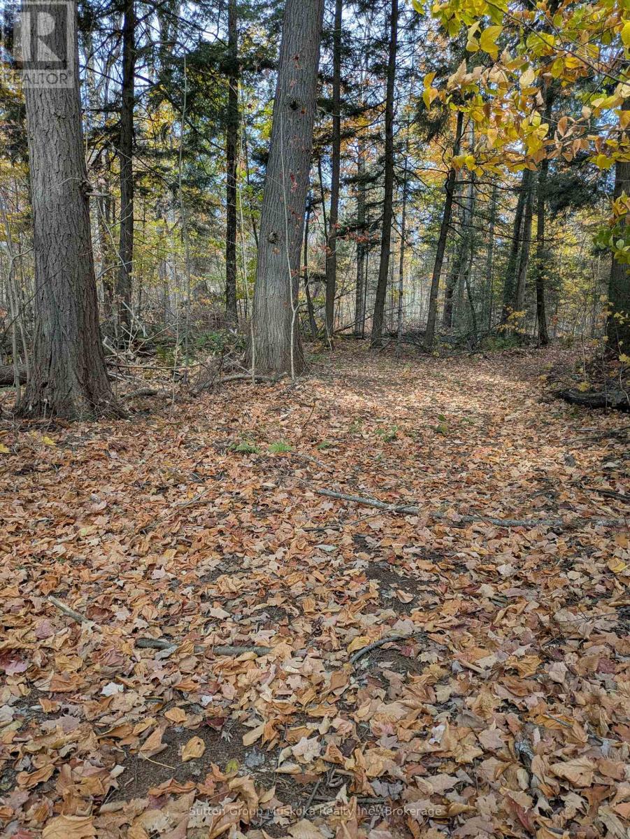 0 118 Highway E, Bracebridge, Ontario  P1L 1X1 - Photo 20 - X12465750